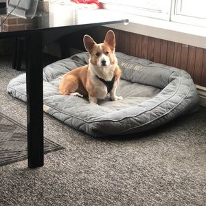 Meet your Posher, Ksusha